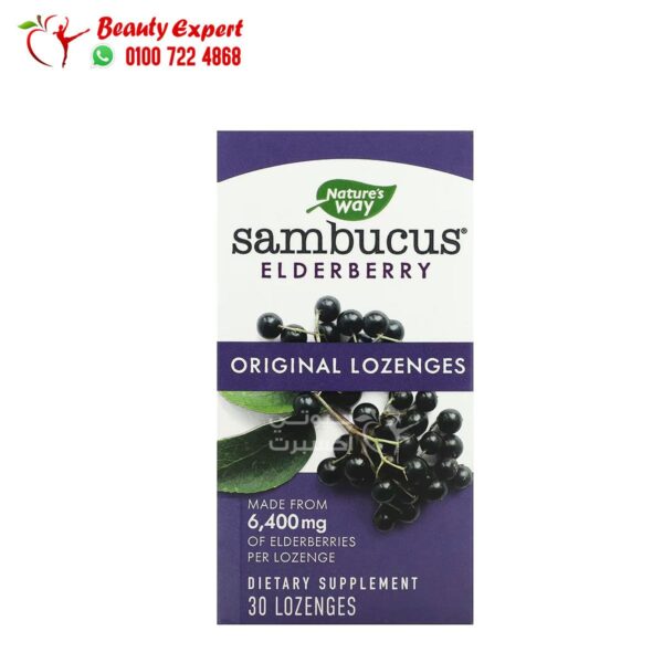 Nature's Way sambucus elderberry