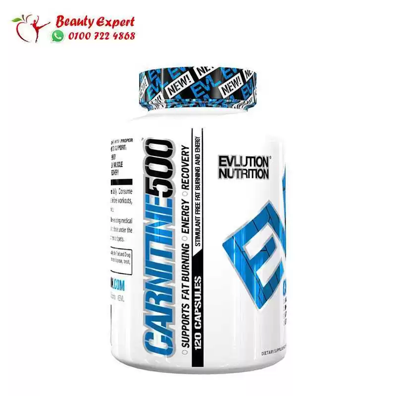 l carnitine 500 l carnitine 500